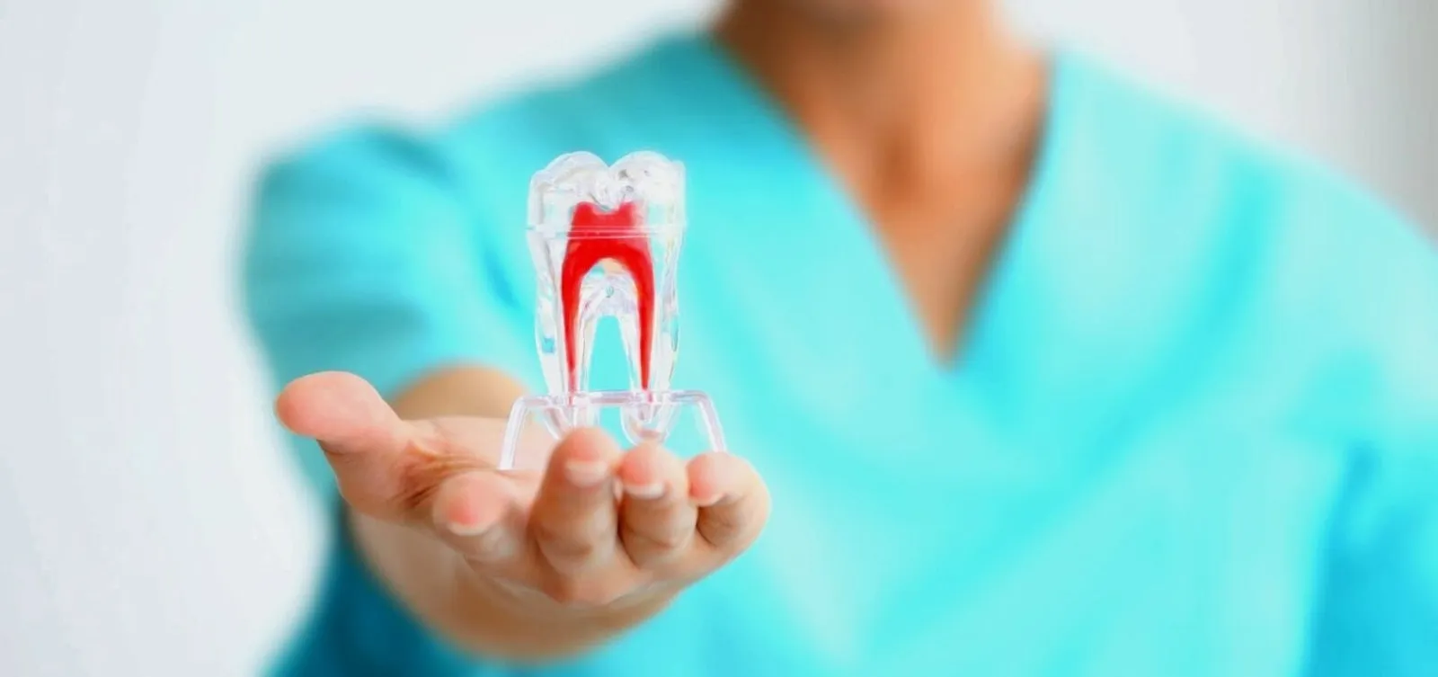 Root Canal Therapy - Dentist Muhammet Akturk - Trabzon - Turkey Root Canal Therapy - Dentist Muhammet Akturk - Trabzon - Turkey